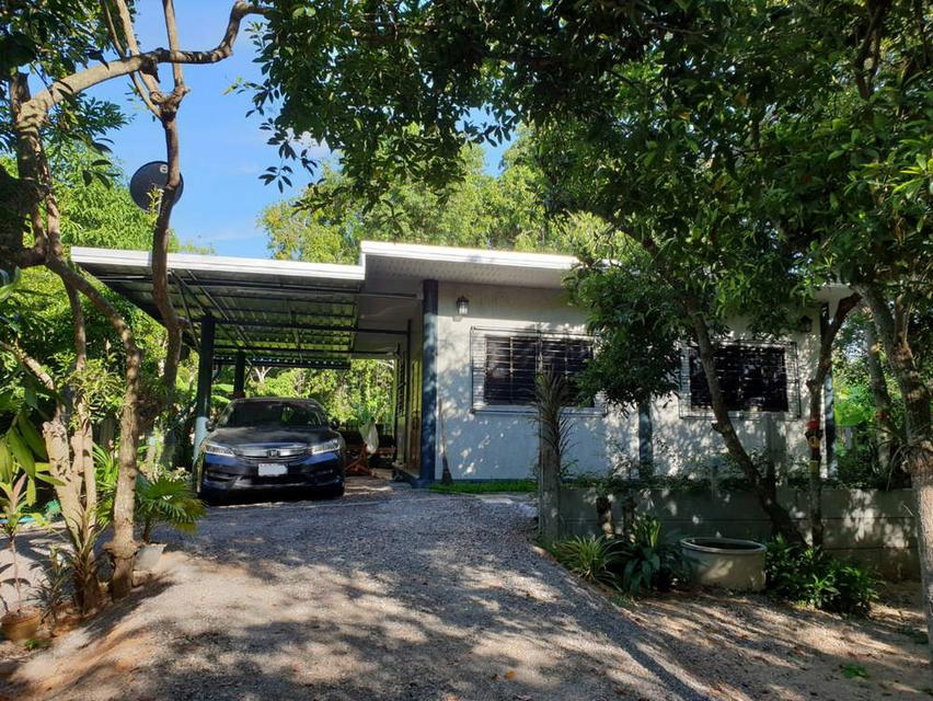 บ้านสวนละมุด 101 ขายที่ดินพร้อมบ้าน อำเภอบ้านลาด จังหวัดเพชรบุรี 1