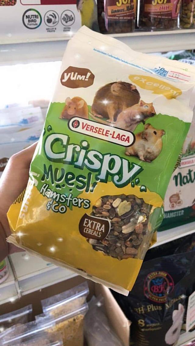 Crispy Muesli  3