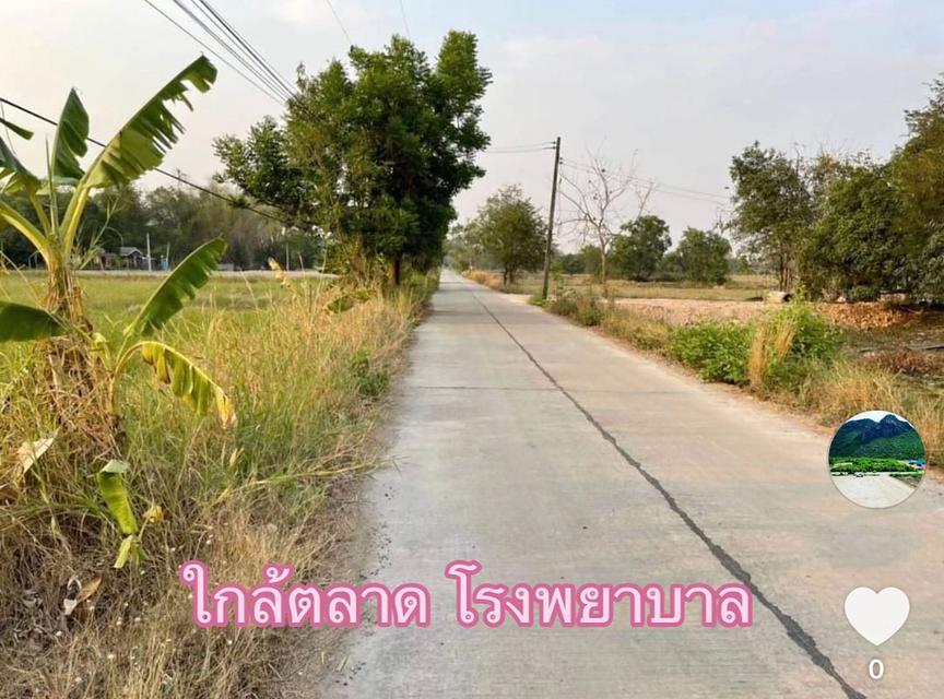 ขายขาดทุน ที่ดินบ้านนา นครนายก เหมาะบ้านสวน  8
