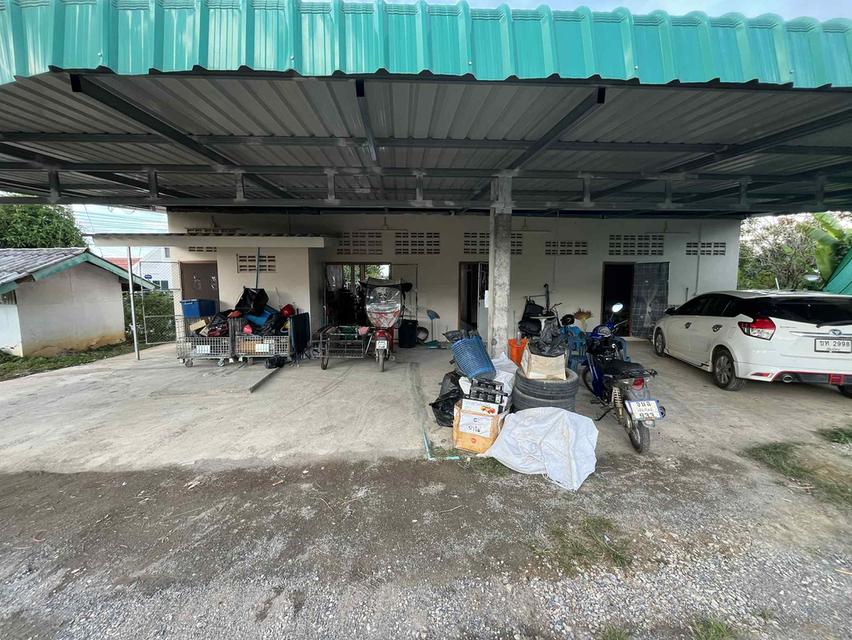 อสังหาริมทรัพย์ ที่ดิน ตึกพานิชย์ 11