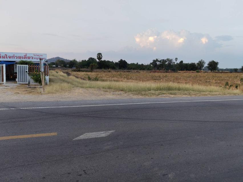 ที่ดินลพบุรี เนื้อที่ 6 ไร่ 90 ตารางวา 11