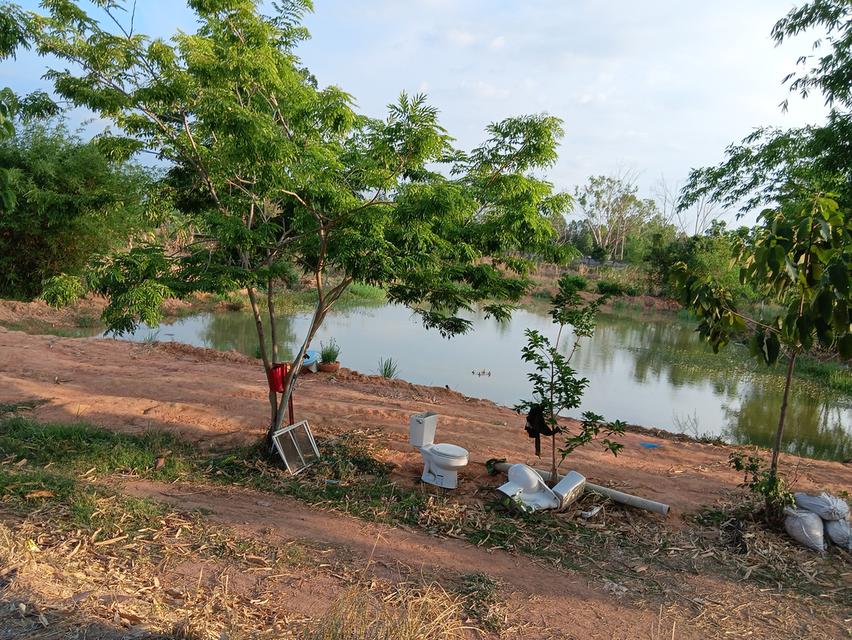 ขายด่วนที่ดินเปล่า21ไร่ ราคา3.9ล้าน ทำเลดีสวยบรรยากาศดีเหมาะทำฟาร์มรีสอร์ท อ.บ้านแท่น จ.ชัยภูมิ สนใจ0844255956 14