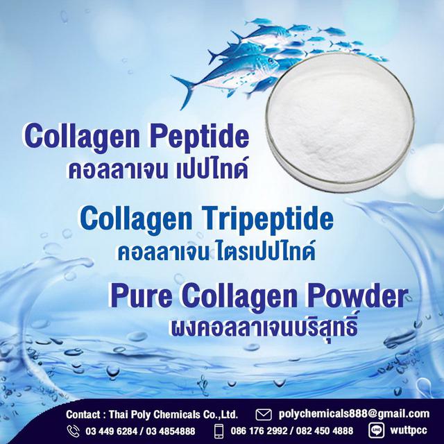 คอลลาเจน เปปไทด์, Collagen Peptide, คอลลาเจน, Collagen 2