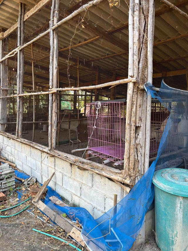 บ้านพร้อมที่ดิน 5 ไร่ 3 งาน ต.สระกระโจม สุพรรณบุรี 8
