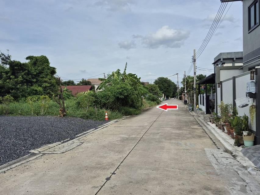 ขายที่ดิน พหลโยธิน 54/1แยก8-4-3 ซอยตาลเดี่ยว 50 วาแปลงสวย ซอย2 คอนกรีตแปลงสุด ท้าย ทิศใต้ด่วน 1.25 ล้านบาทสุดท้าย หรือคุณจะเข้าสายไหมซอย 6 ก10ม ย20ม. 5