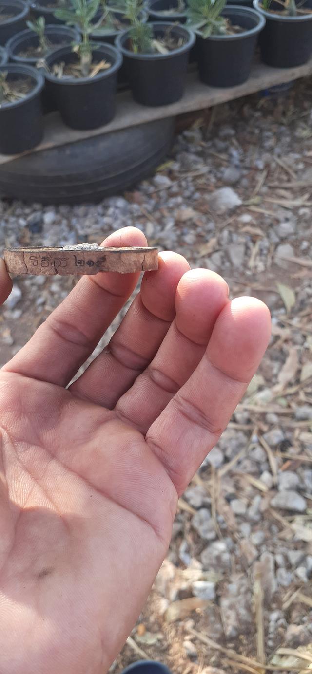 จตุคามรามเทพ วัดไสกระดาน หน้ากากเงิน รูปที่ 3