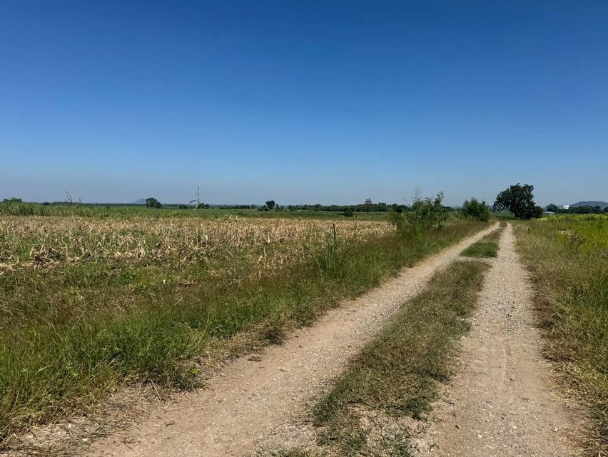 โฉนดครุฑแดง 11 ไร่ วิวเขากะลา ราคาไม่แรง ล้านสองเอาไปเลยยย 3