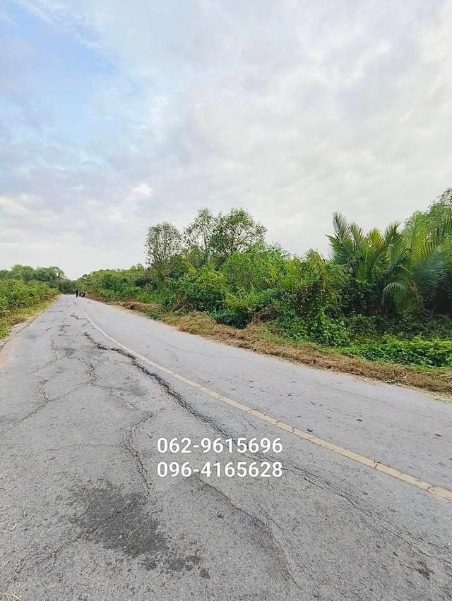 อสังหาริมทรัพย์ ที่ดิน 3