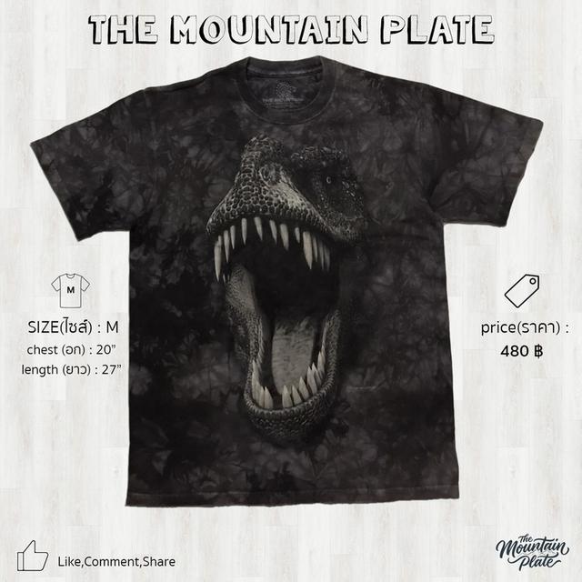 เสื้อยืด The Mountain