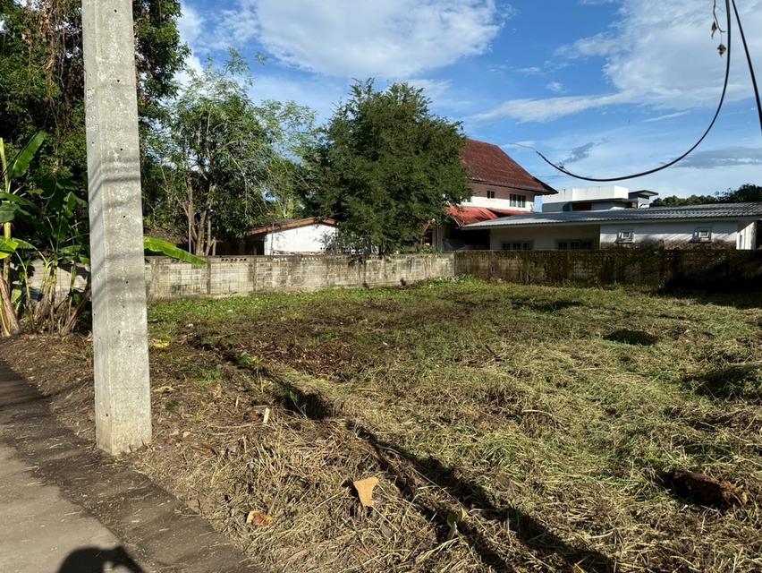 ที่ดิน116ตรว สันทรายหลวง เชียงใหม่ 6