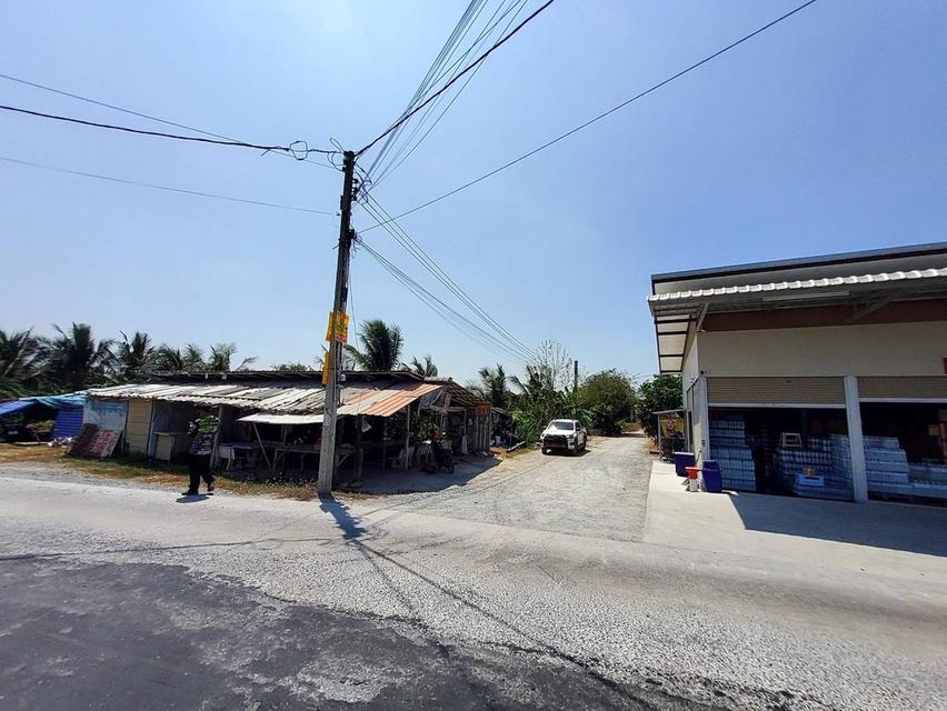 ขายด่วนที่ดินคลองโต๊ะใหม่ 100 ตรว ล้อมรั้วและทำกำแพงไว้แล้ว อ.บางบัวทอง จ.นนทบุรี 6