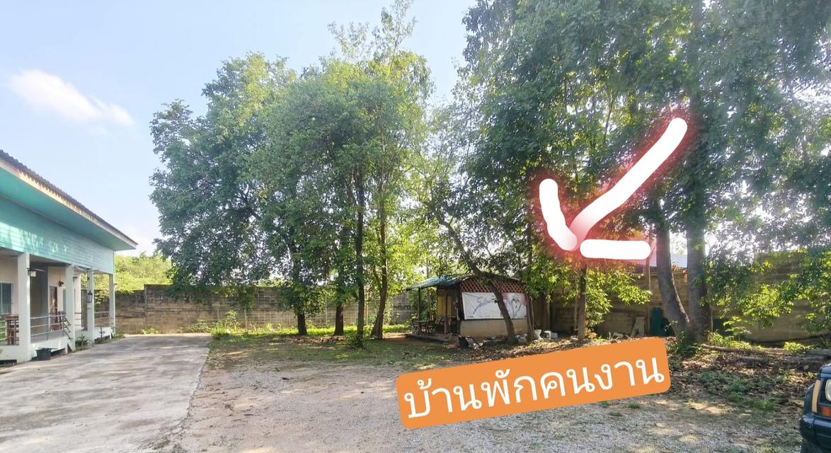 ที่ดินพร้อมสิ่งปลูกสร้างพอพัก ค้านอาหารบ้านพัก อ.เมืองจ.พะเยา 16