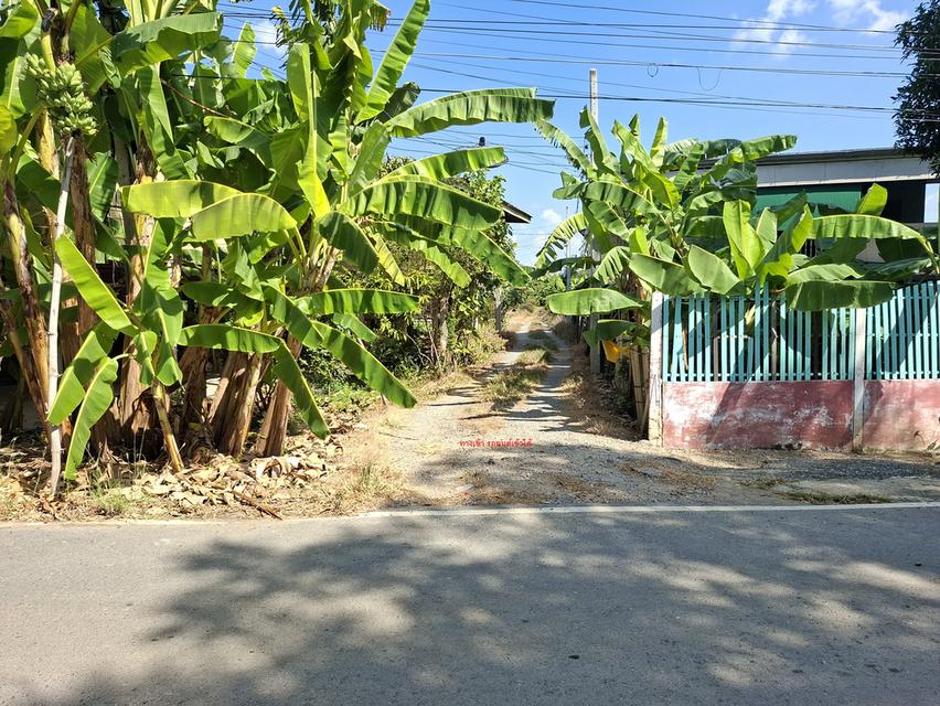 ขายที่ดิน 2 ไร่ 154 ตารางวา 1,000,000 บาท มีห้องพัก 2 ห้อง มีน้ำและไฟฟ้าพร้อมเข้าอยู่ ใกล้วัดสามประชุม อ.โพธิ์ทอง จ.อ่างทอง 3