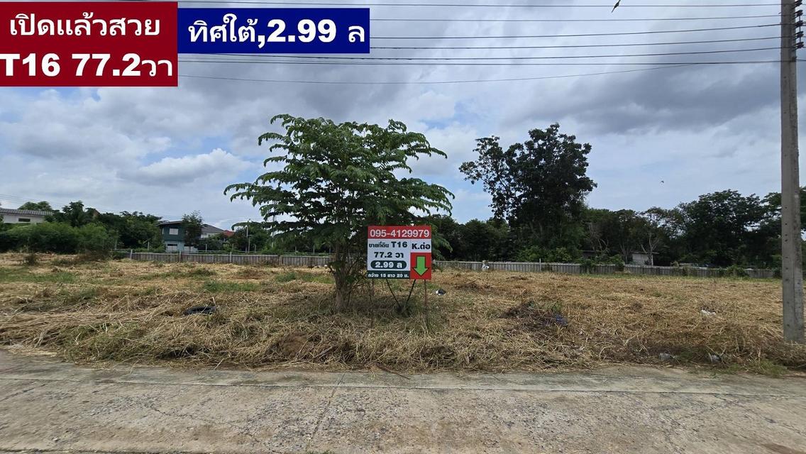 ขายที่ดินจัดสรรถมแปลง 195 ตรวา ลานทอง 36/1 หายากหน้า 41 เมตรมี ปาร์ตี้บ่อยๆหน้าบ้านจอดรถได้สบายๆ 555 สวย (ไม่มีแล้ว) ม.ลานทอง ติวานนท์-ปากเกร็ด25 \ 2