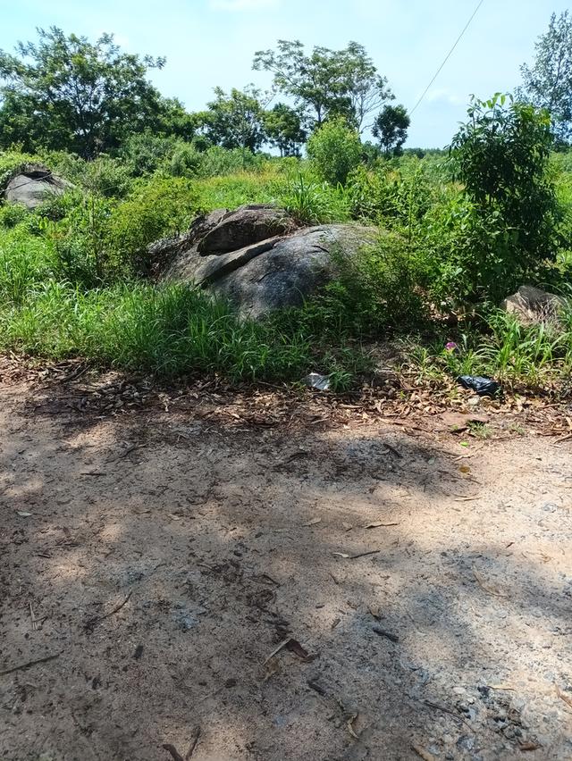 ขายที่ดินเขาหินซ้อน อำเภอพนมสารคาม ฉะเชิงเทรา 4