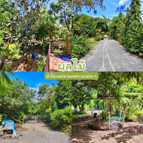 ขายบ้านสวนหนึ่งฤทัย สระบุรี โอบล้อมด้วยธรรมชาติ วิวภูเขา เงียบสงบ เหมาะทำบ้านพักตากอากาศ 7
