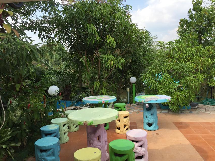 ขายบ้านทรงรีสอร์ท ใกล้เขา ติดลำธาร จังหวัดปราจีนบุรี 7