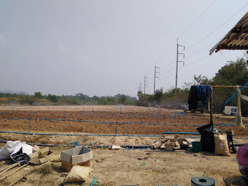 ที่ติดถนน จอมบึง ราชบุรี 118 ไร่ 5