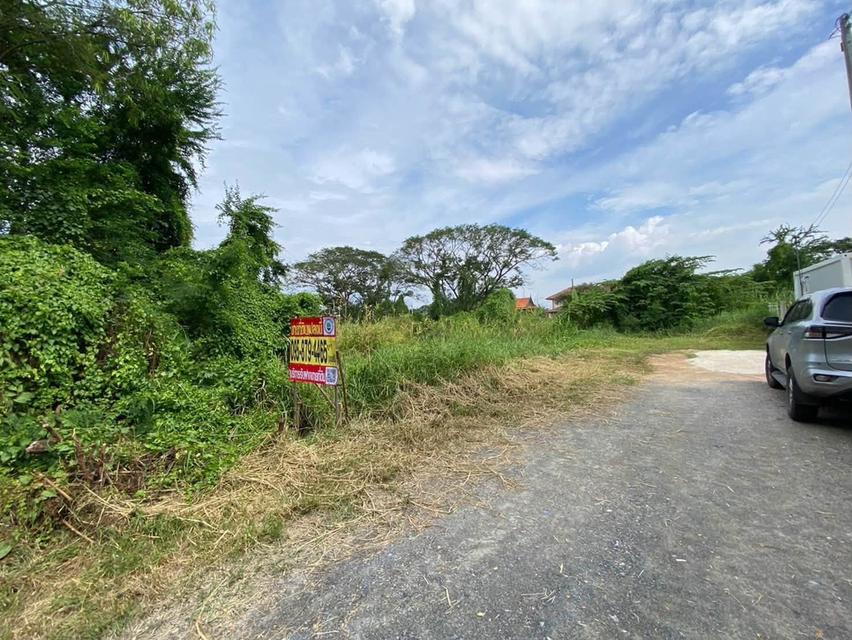ขายด่วนที่ดิน 105 ตรว ติดถนนสาธารณะ ซ.สมพงษ์ พุทธมณฑล นครปฐม 1