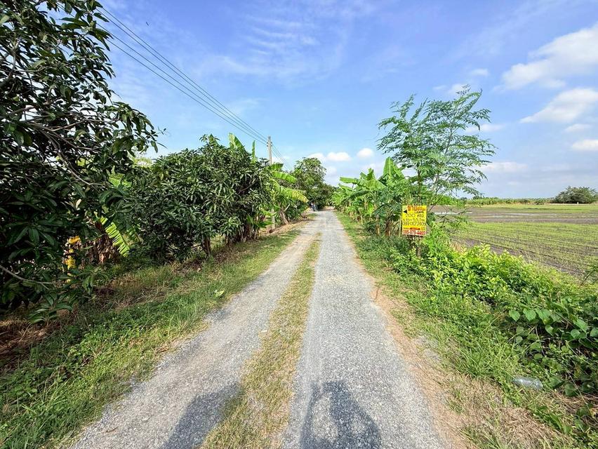 ðĒVāļēāļĒāļāđāļ§āļâžïļāļāļĩāđāļāļīāļāļāļāļāļĢāļēāļāļāļĪāļāļĐāđ 200 āļāļēāļĢāļēāļāļ§āļēð°āļāļīāļāļŦāļĄāļđāđāļāđāļēāļ āļāļāļēāļĻāļīāļĢāļīðŪāļāļāļĒāļāļĨāļāļāļāļ§āļĨāļāļīāļāļĒāđ āļ.āđāļĄāļ·āļāļāļāļāļļāļĄ āļ.āļāļāļļāļĄāļāļēāļāļĩðē 095-879-4465 āļĨ