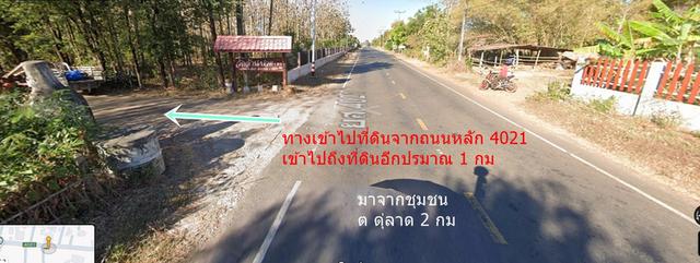 ขายที่ดินเปล่า 18ไร่ ตดู่ลาด อทรายมูล ยโสธร เหมาะทำการเกษตรติดถนนสาธารณะกว้าง100 เมตร 4