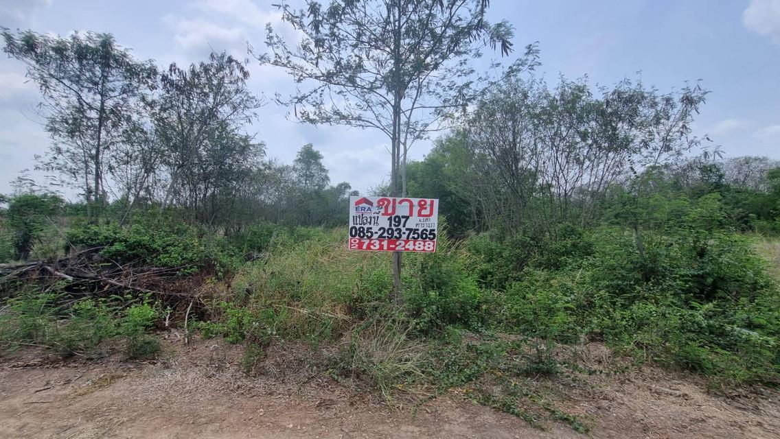 ขายที่ดิน ถนนกรุงนนท์-จงถนอม ซอยศรีกมล ต.คลองโยง อ.พุทธมณฑล นครปฐม พื้นที่ 197 ตารางวา ขาย 1.1 ล้านบาท ใกล้มหาวิทยาลัยราชภัฎสวนสุนันทา 3