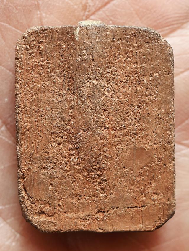 พระหลวงพ่อปาน วัดบางนมโค พิมพ์ขี่ปลากัด...เก่าๆ 8