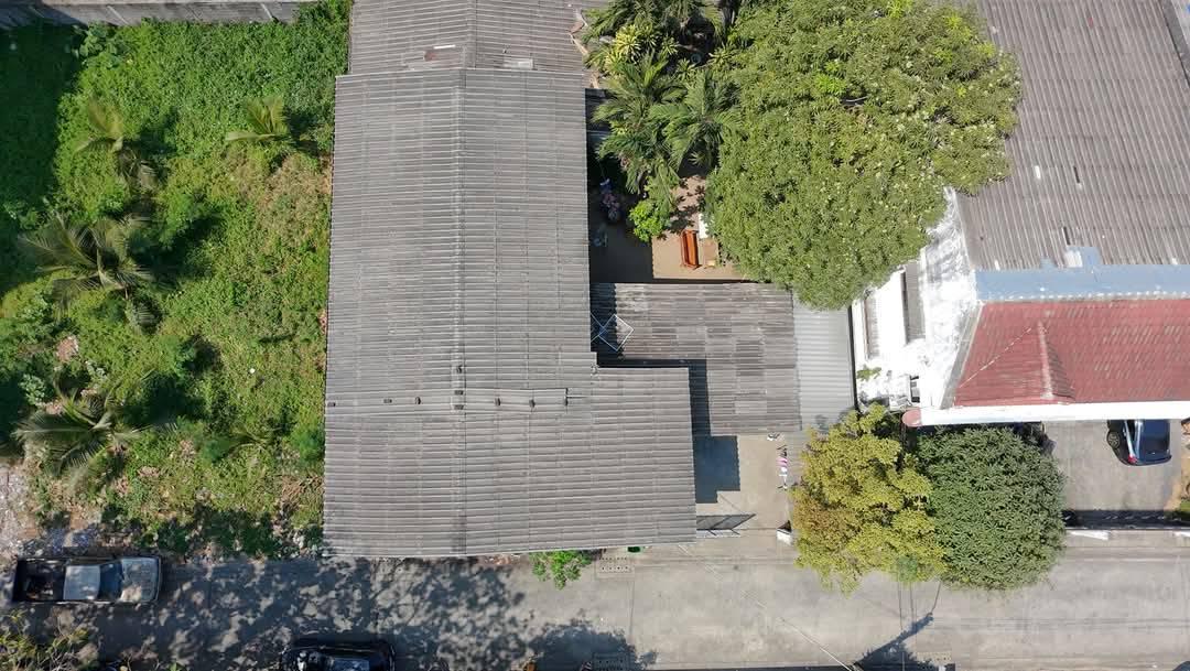 ขายที่ดินพร้อมบ้านเก่าสุขุมวิท 97 ตร.ว ที่ดินอุดมสุข56 บางนาตราด21 ทรัลบางนา ซีคอนศรีนครินทร์ ใกล้รถไฟฟ้า BTS  ใกล้บางนาตราด แยกศรีเอี่ยม 087-9074045 1
