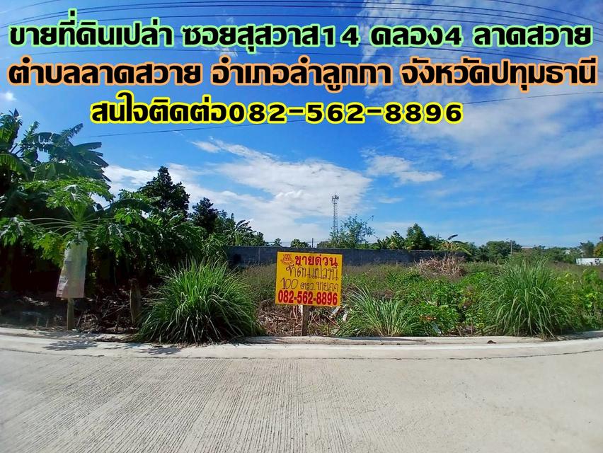 ขายที่ดินเปล่า ซอยสุสวาส14 คลอง4 ลาดสวาย 1