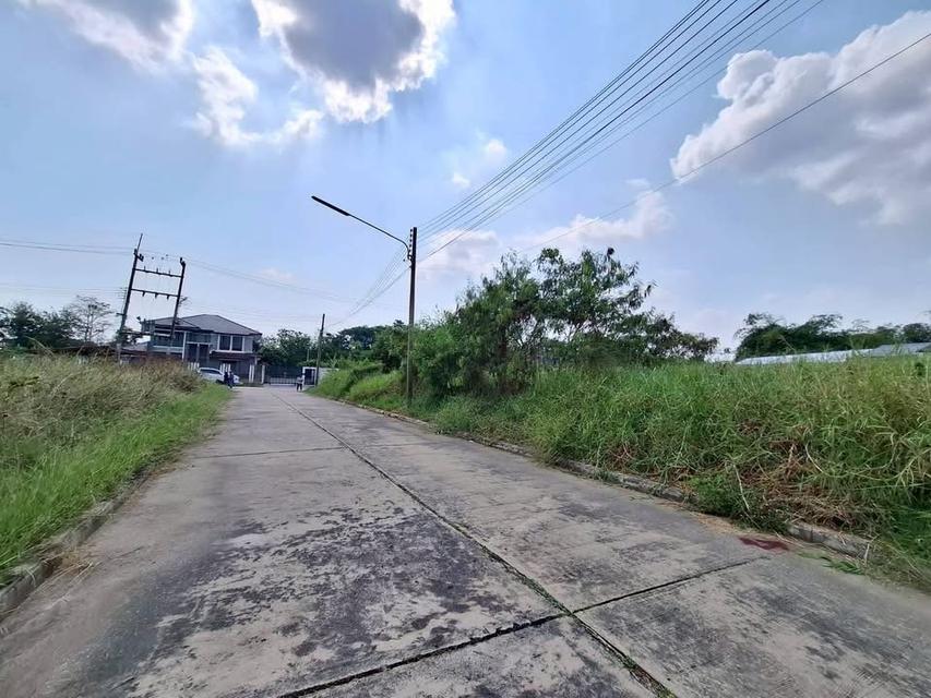 ขายด่วน ที่ดิน 198 ตารางวา ติดถนนคอนกรีต ถมแล้ว หมู่บ้านกฤษดานคร 26 นครชัยศรี นครปฐม 7