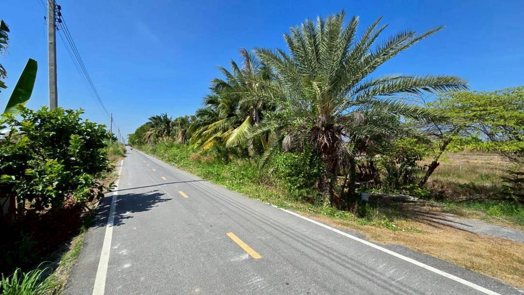 ขายด่วนที่ดินผังสีม่วง 466 ตรว ติดถนนลาดยางสาธารณะ ถนน นบ.3015 อ ไทรน้อย จ.นนทบุรี 4