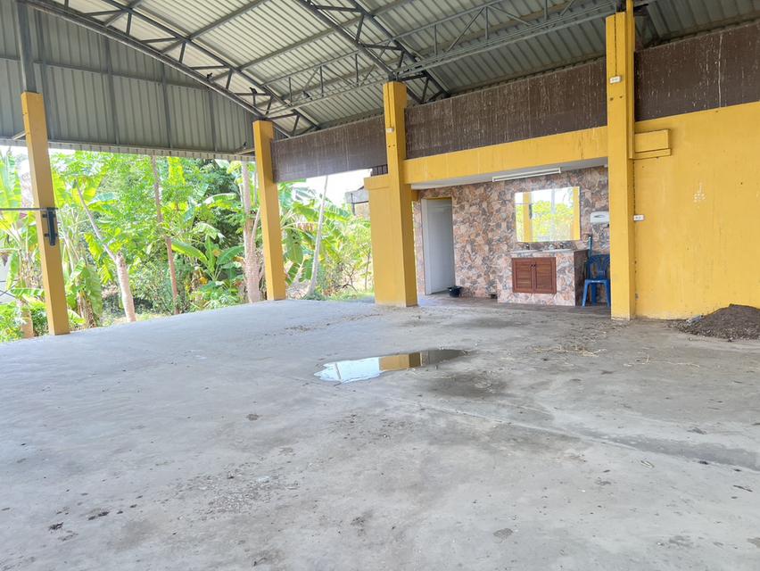 ขายด่วน! ที่ดินผืนใหญ่ 12 ไร่ พร้อมบ้าน 4 หลัง (ตกแต่งด้วยไม้สัก) – อ.สามชุก จ.สุพรรณบุรี 10