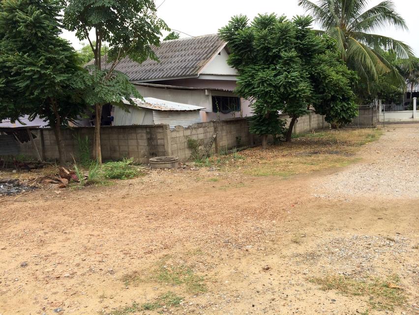 ขายที่ดินพร้อมสิ่งปลูกสร้าง 231 ตารางวา สันป่าตอง เชียงใหม่ 081 336 9775 6
