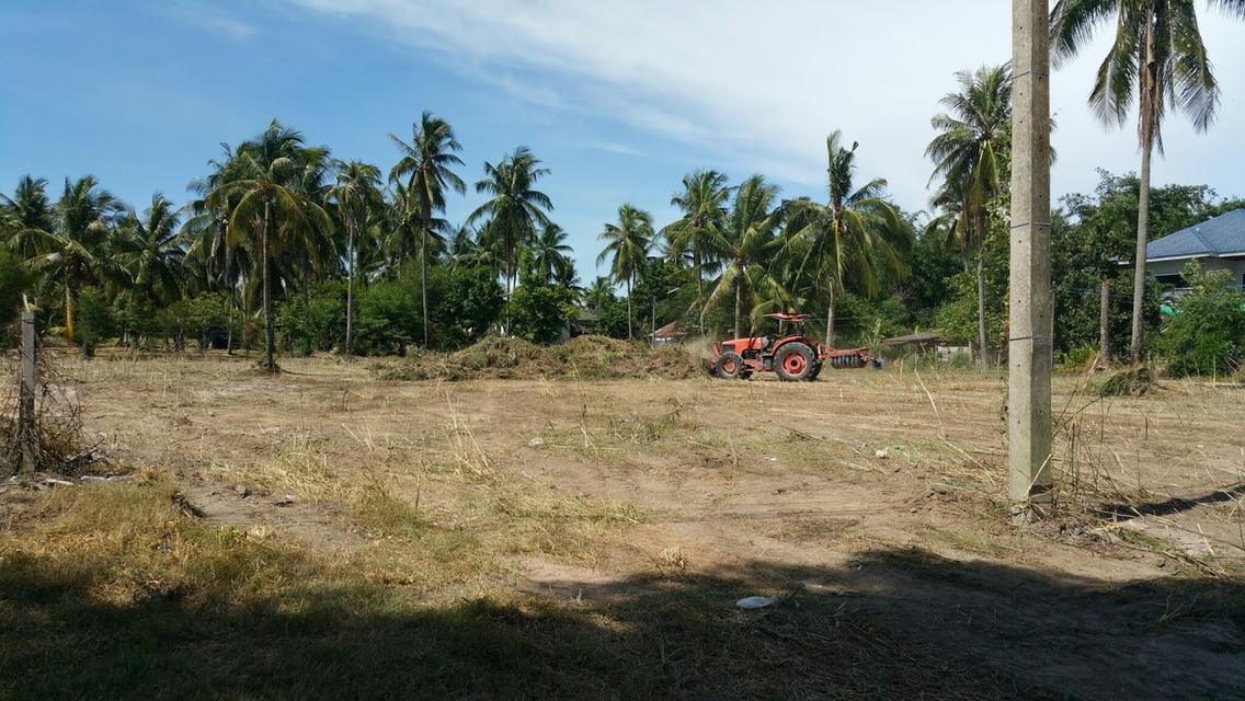 ที่ดินติดอ่างเก็บน้ำหนองค้อ 1ไร่ 3งาน 74ตรว 5