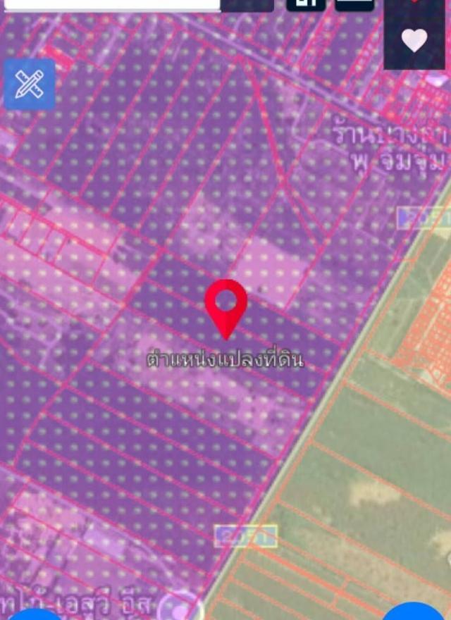 ขายที่ดินผังม่วงลายนิคมพัฒนาระยอง เนื้อที่48-2-77.7ไร่ ที่ดินผังม่วงลาย 3