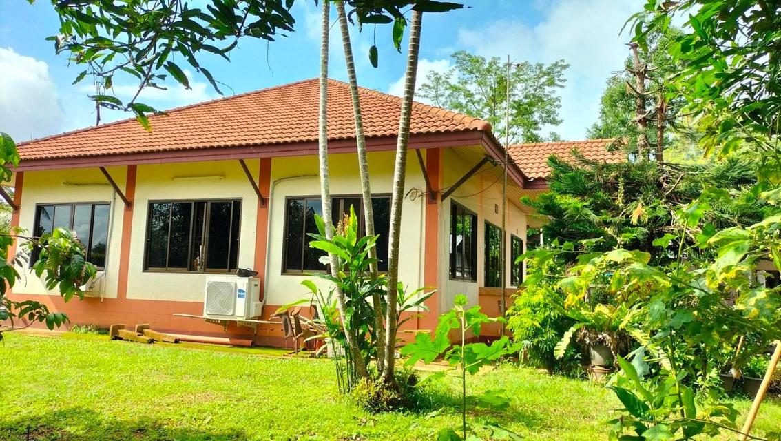 ขายบ้านพร้อมที่ดินสวยๆ ทำเลดี ใกล้จุดสำคัญหลายๆที่ 6