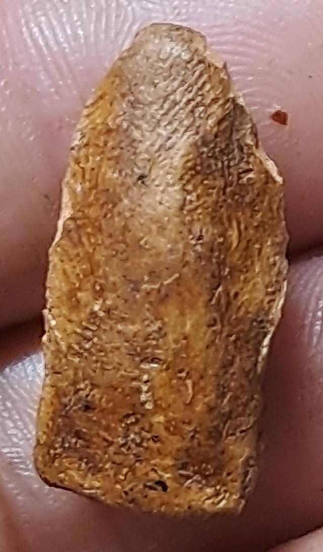 พระรอดมหาวัน พิมพ์ใหญ่ 3