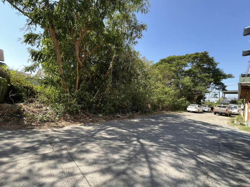 ขายที่ดินถมแล้ว 186 ตรว. ในหมู่บ้านศศิกานต์แลนด์ ซ.พิชัยณรงค์สงคราม37 อ.เมืองสระบุรี สระบุรี ใกล้แหล่งชุมชน เหมาะสร้างหอพัก สำนักงาน บ้านพัก อื่นๆ 5