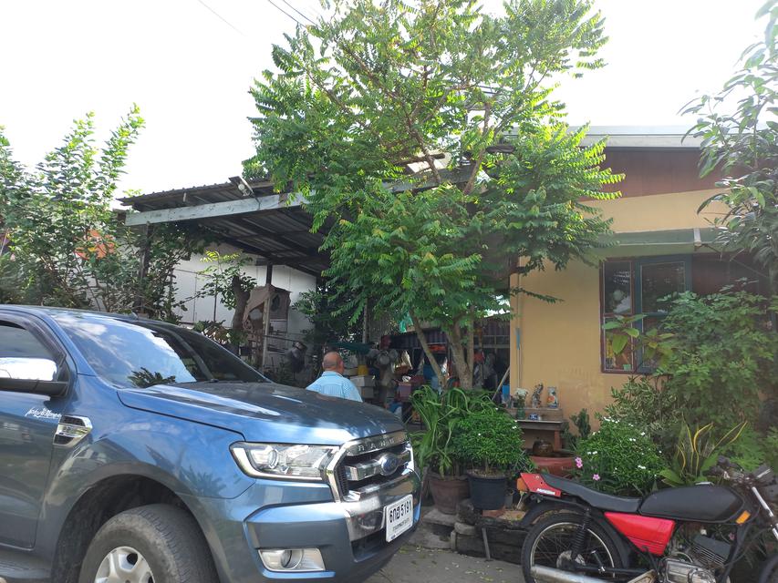 รูป บ้านและที่ดิน 5