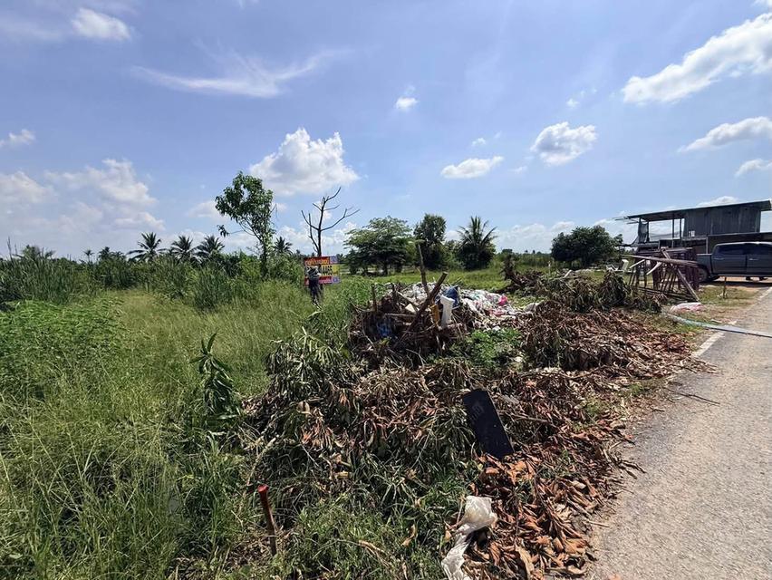 ขายด่วนที่ดิน 100 ตรว ติดถนนลาดยางสาธารณะ ซ.ประทุม บางบัวทอง นนทบุรี 1