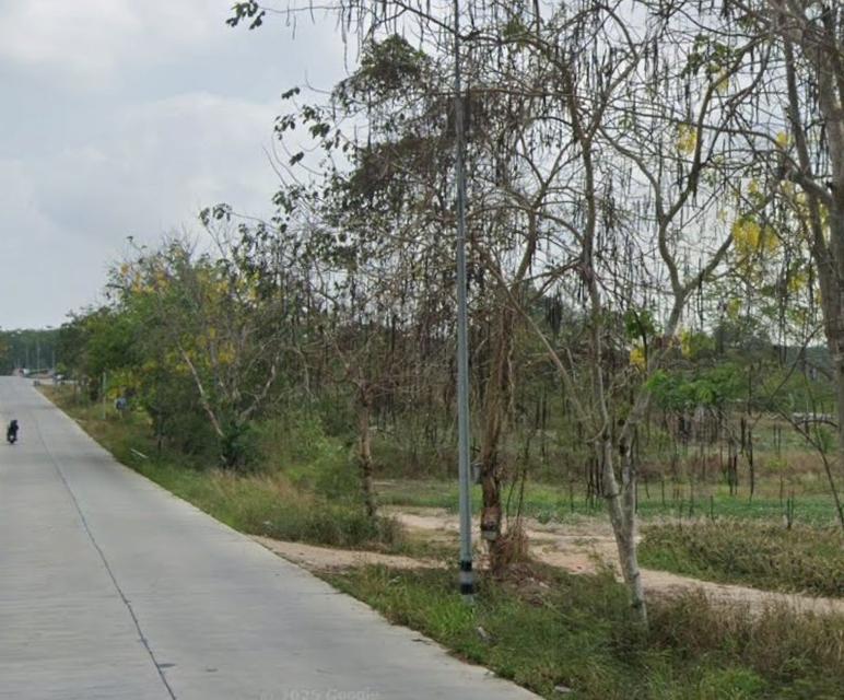 ขายที่ดินมาบข่า นิคมพัฒนา 31 ไร่ ซอย3สาย13 ใกล้นิคมปิ่นทอง6-5กม. จ.ระยอง