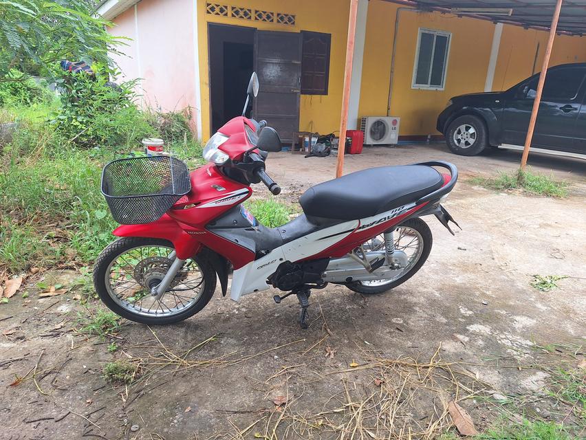 Honda Wave 110 i ปี 53 ภาษีไม่ขาด