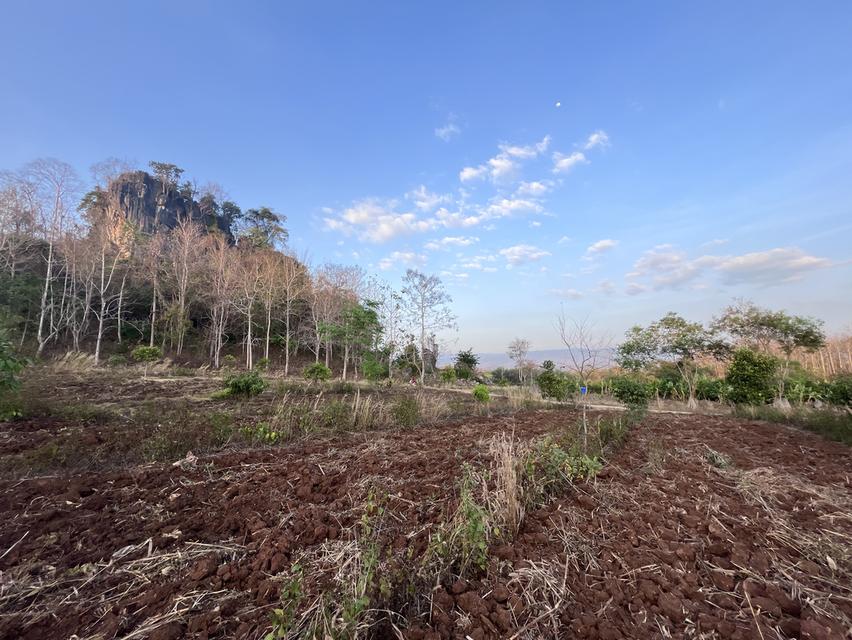 ขายที่ดิน วิวภูเขา⛰️📍จำนวน4ไร่  = 2แปลงติดกัน*แปลงที่1 (2ไร่)*แปลงที่2 (2ไร่)📍ราคาไร่ละ350,000 บาทเอกสาร  นส4จฟรีโอนกรรมสิทธ์ บรรยากาศดี วิวสวย สงบ 1