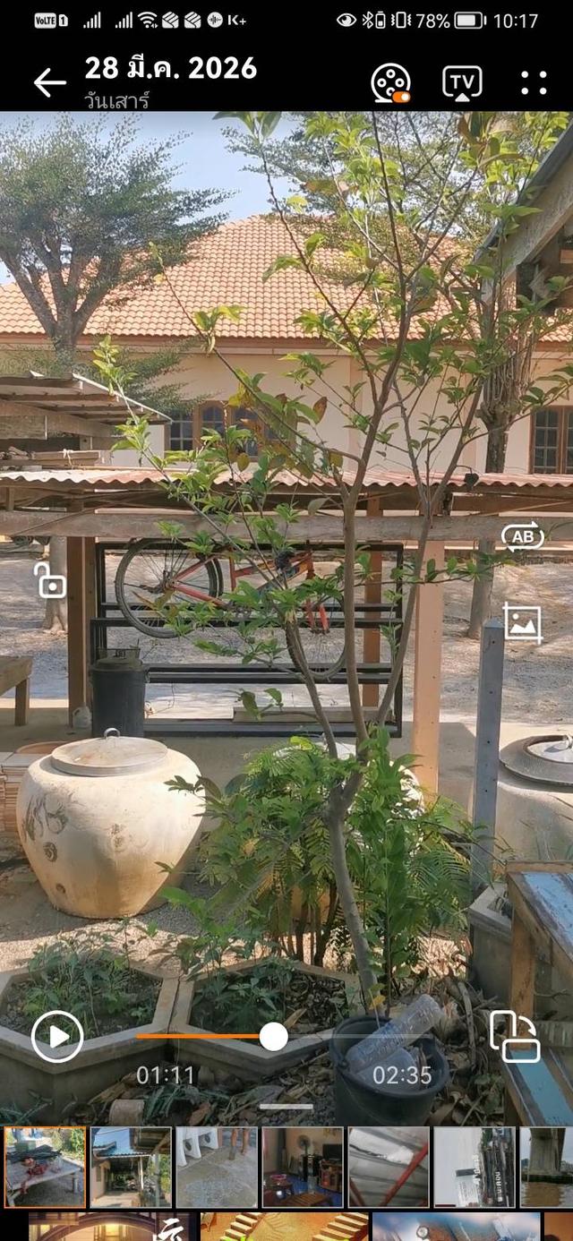 ถูกที่สุดขายถูกมาก บ้าน3หลัง พร้อมสวนผลไม้พืชผักสวครัวเก็บกินได้เลย 6
