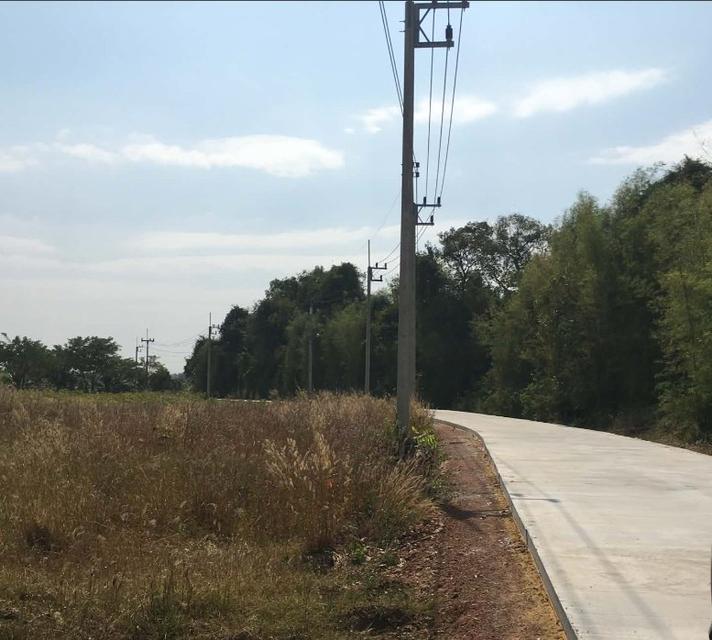 ขายที่ดินหัวหว้าติดถนนคอนกรีต 1 ไร่ เหมาะทำสวน ใกล้ถนนสี่เลนเส้น3070-2กม. อ.ศรีมหาโพธิ ปราจีนบุรี 11