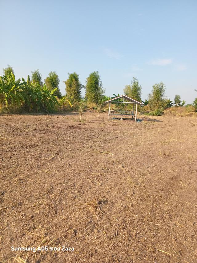 ขายที่ดิน 1ไร่ พร้อมปลูกบ้าน น้ำไฟพร้อม บรรยากาศดีวิวหมอกไกล้ภูเขา โฉนด 1