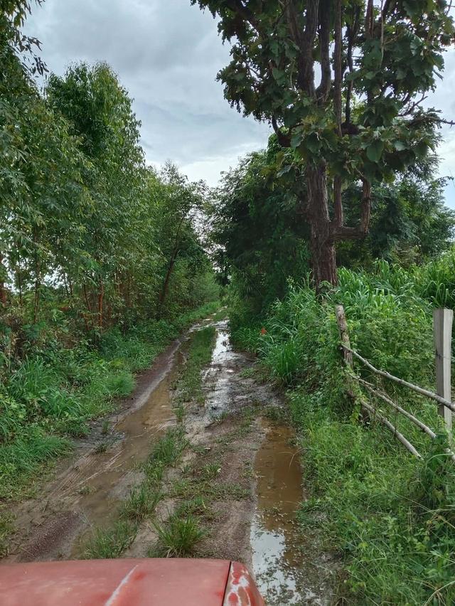 **ที่ดินหนองหาน อุดรธานี 36 ไร่ | เพียง 3,900,000 บาท** 3