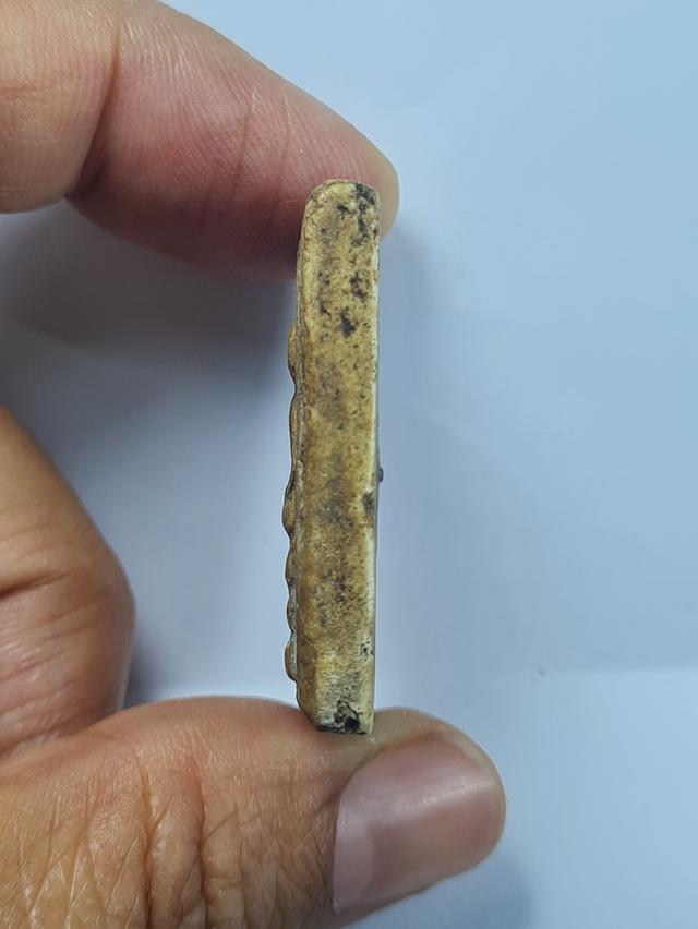 สมเด็จเก่า พิมพ์ปรกโพธิ์