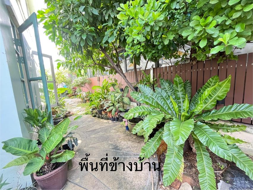 บ้านแฝดพร้อมเฟอร์นิเจอร์น่าอยู่มาก ลำลูกกา คลอง3 17