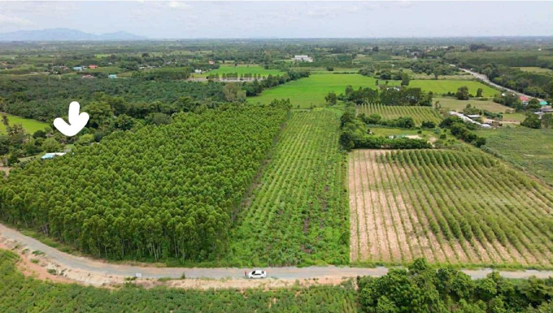 ที่ดินจังหวัดชลบุรีจำนวน9ไร่2งาน ตำบลนาวังหิน 1